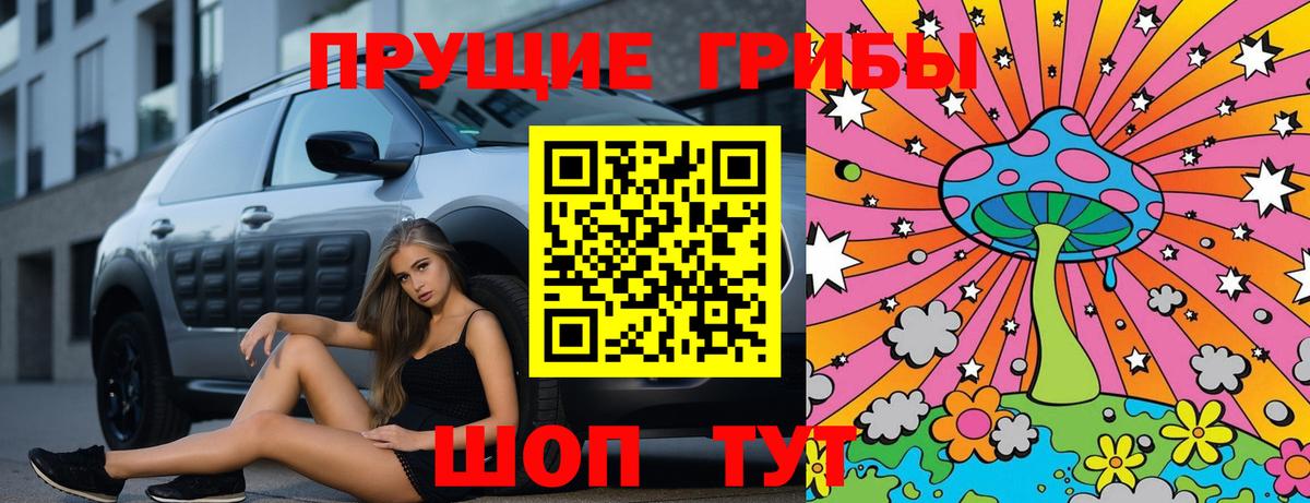 Лесной  Псилоцибиновые грибы GOLDEN TEACHER  цены   Псилоцибиновые грибы ЛСД  Вход с VPN 